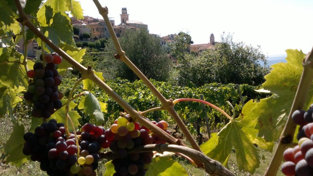 B&B Ca' De Pippu Diano Castello Exterior foto